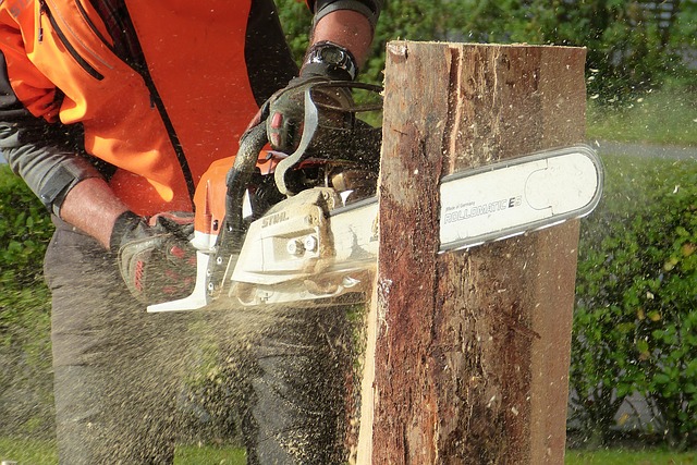 Tree cutting 1