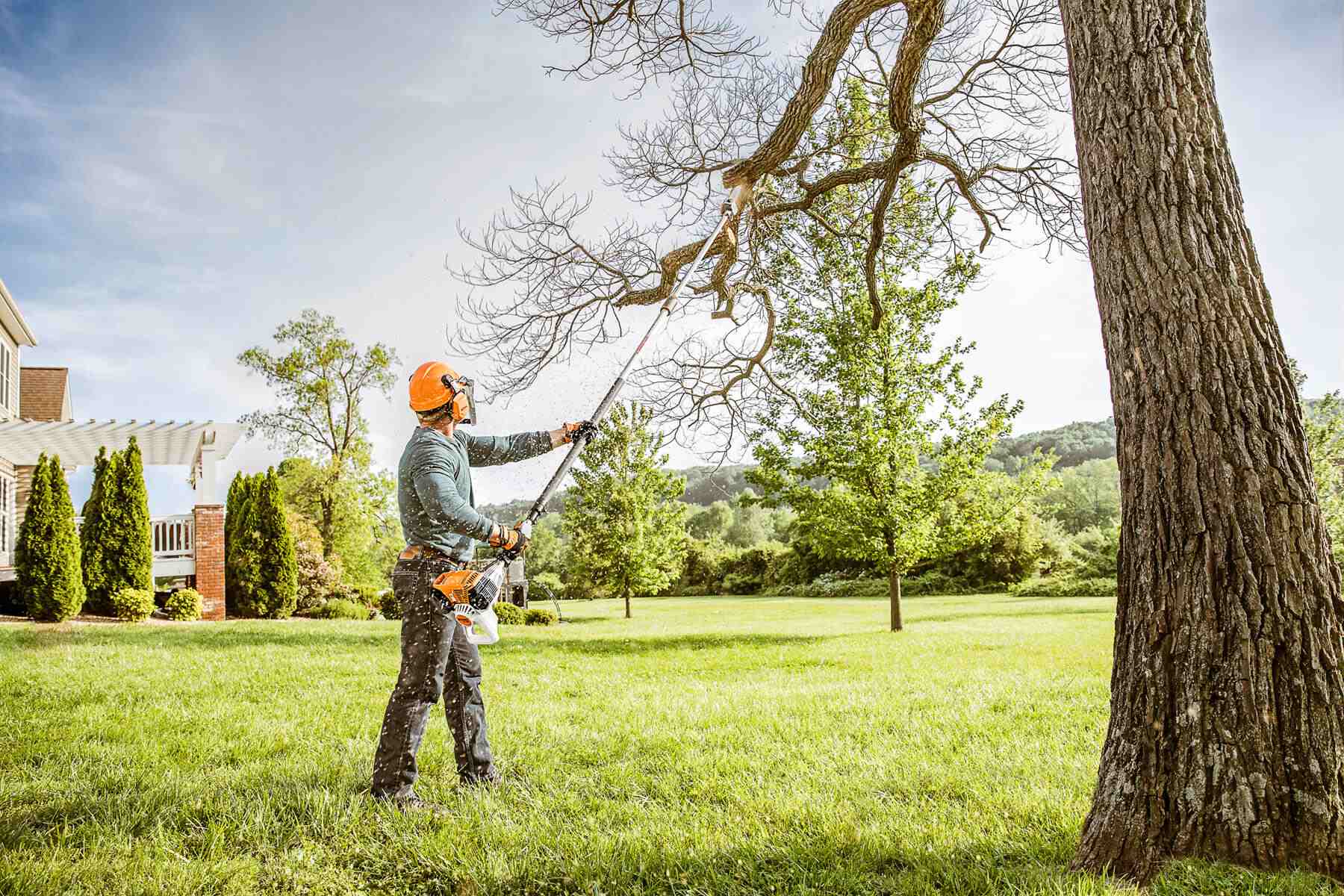 Tree cutting 4